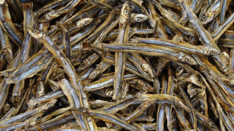 うどん乾麺の一人前は何g？量の目安とおいしい茹で方をやさしく解説