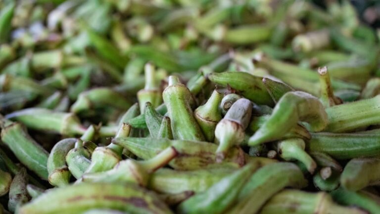 茹でたオクラは何日持つ?冷蔵冷凍の目安と保存のコツ