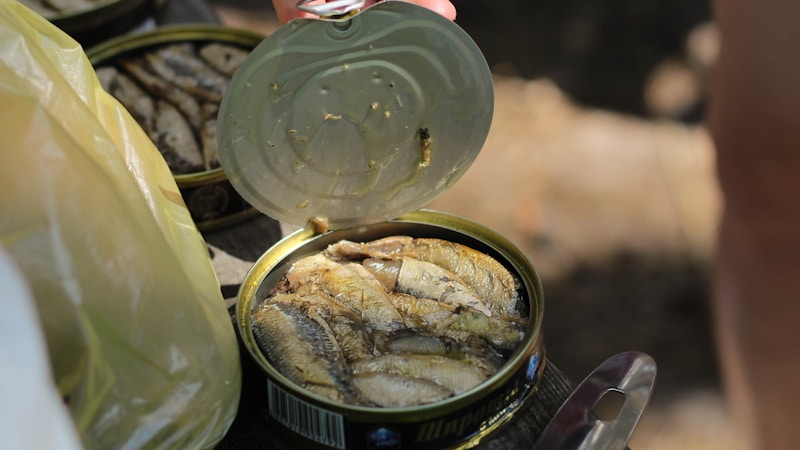 鯖缶カレーが生臭い原因は？やさしく消せるコツと救済法