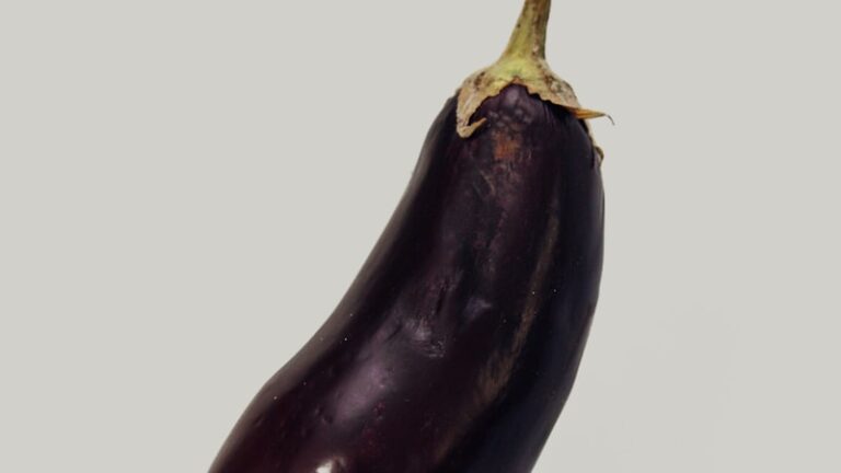 なすの皮をむく理由は？料理別の使い分けと簡単なむき方